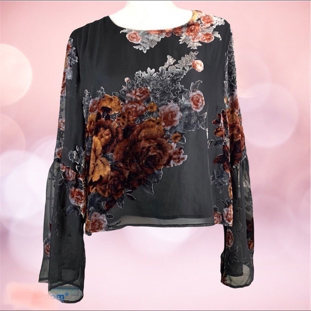 EUC Gianni Bini Sheer and Velvet Boho Blouse NICE